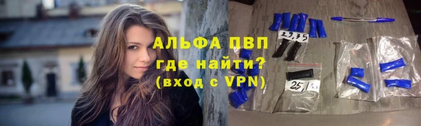 СК Белокуриха