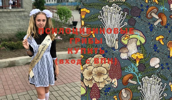 мяу мяу мука Богородск